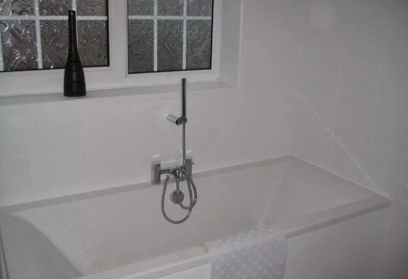 Executive-huone, Forest Guest House