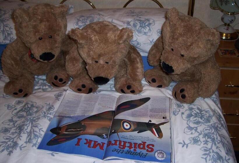 חדר סטנדרט, Sunnyside B&b