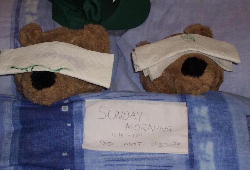 חדר יחיד בסיסי, Sunnyside B&b