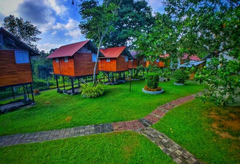 レイクビュースタンダードルーム, Kolonne Riverside Garden