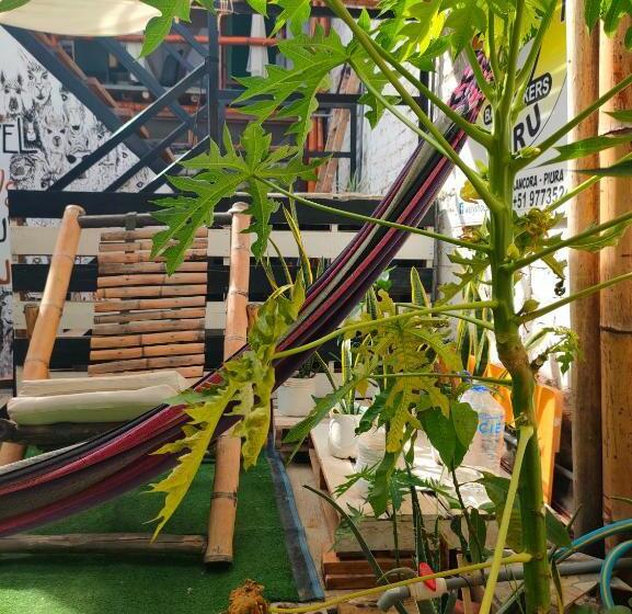 스탠다드 룸, Wally S House Mancora