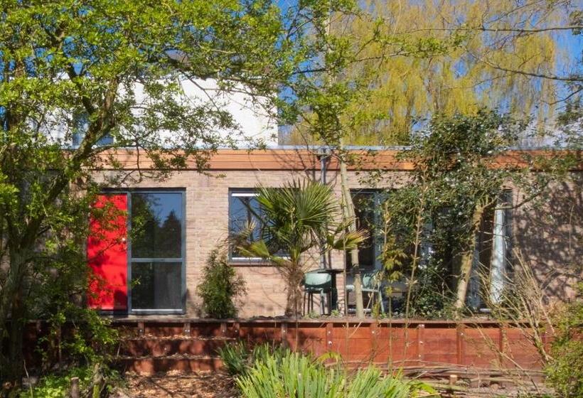 Номер Стандарт с Террасой, Kwadijkerbos