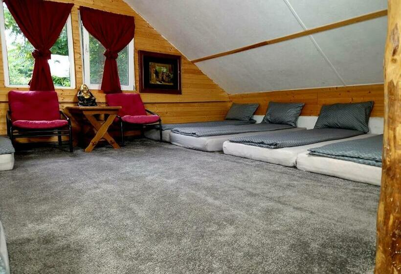 Дом 1 Спальня, Motolan