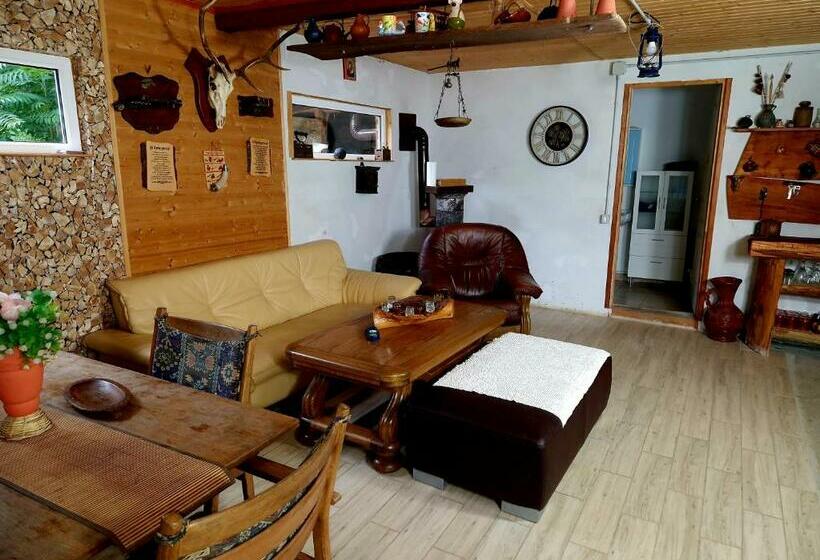 Дом 1 Спальня, Motolan