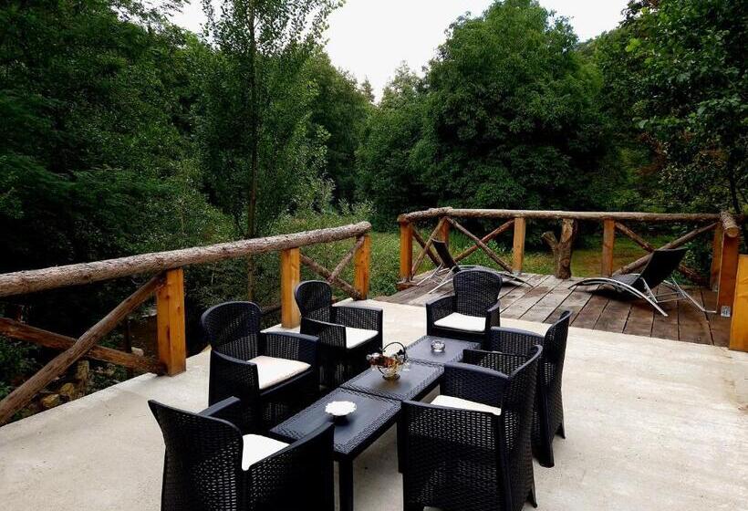 Дом 1 Спальня, Motolan