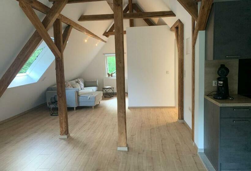 1ベッドルームアパートメント, Pension Dorotheenhof