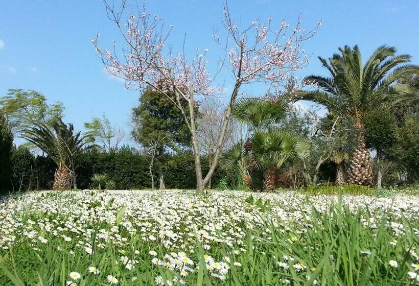 آپارتمان 1 خوابه, Agriturismo La Tortorella