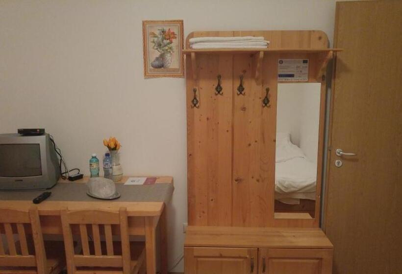 Номер Стандарт Вид на Сад, Pensiunea Casa Vanatorului