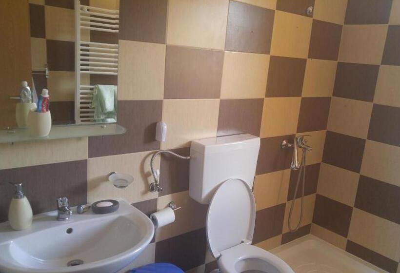 חדר סטנדרט נוף לגינה, Pensiunea Casa Vanatorului