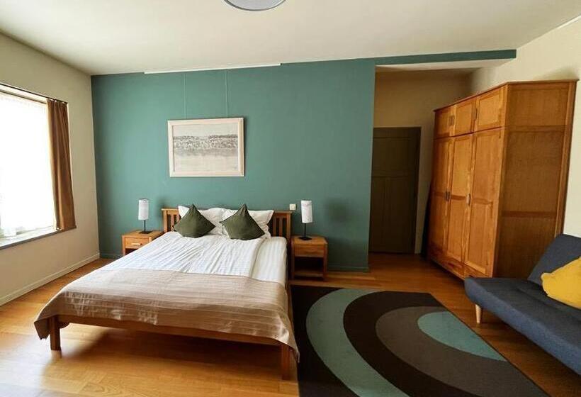 장애인을 위한 킹사이즈 침대 스탠다드 룸, Harmonia Mundi