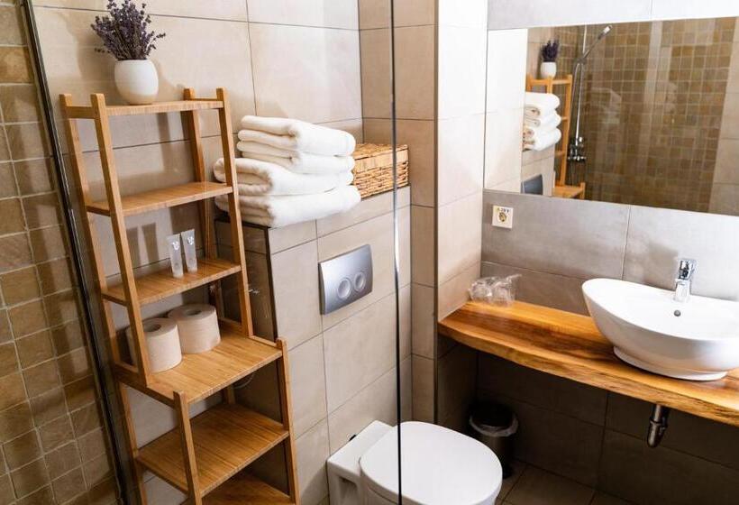 장애인을 위한 킹사이즈 침대 스탠다드 룸, Harmonia Mundi