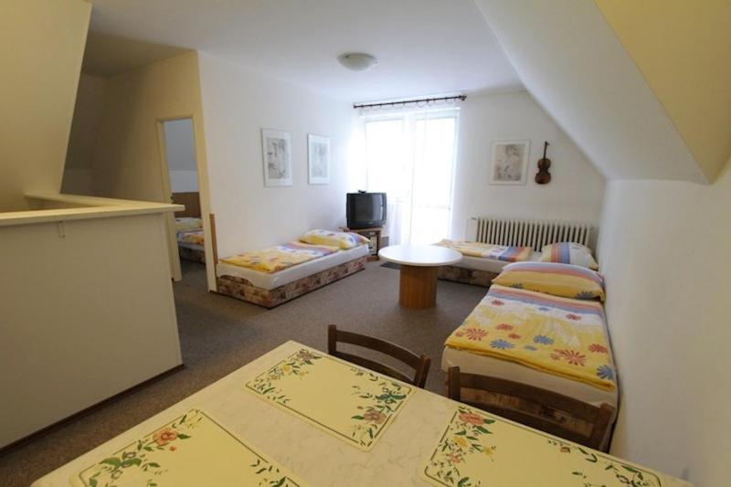 آپارتمان 1 خوابه با چشمانداز باغ, Penzion Kormorán