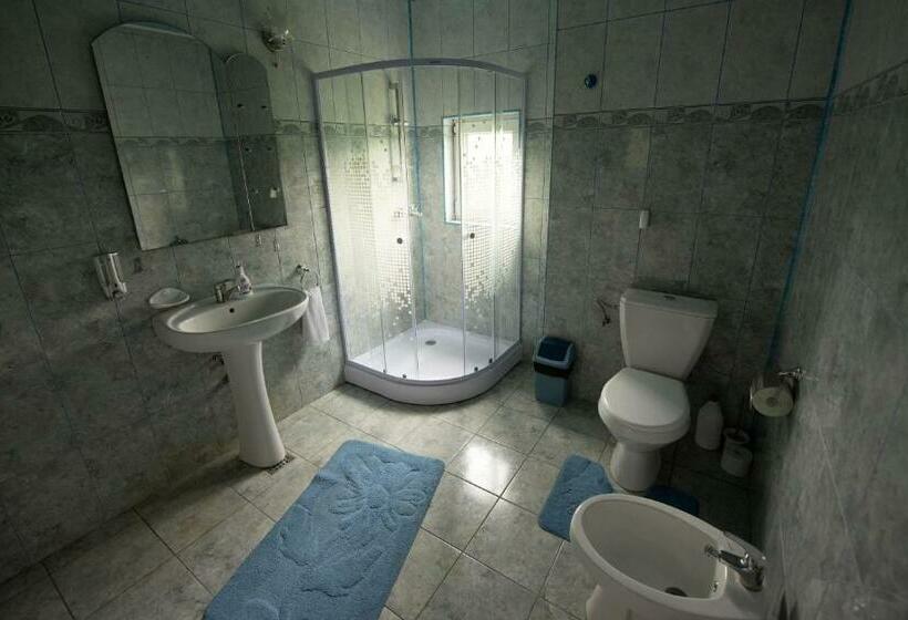 חדר סטנדרט, Pensiunea Tincu