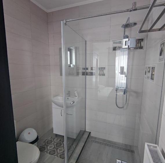 غرفة ديلوكس, Pensiunea Tincu