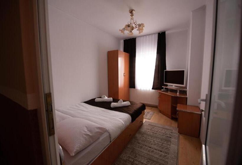 Standard room with outdoor bath, Pensiunea Tincu