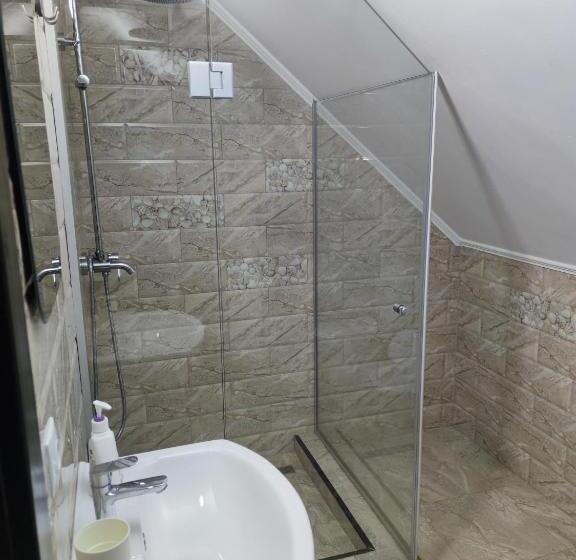 غرفة قياسية ثلاثية مع حمام خارجي, Pensiunea Tincu