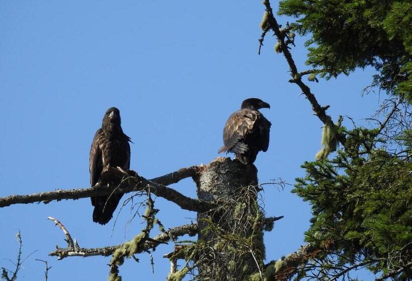 高级家庭房间, Ocean Wilderness Inn