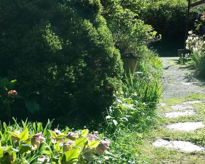 标准间, Ocean Wilderness Inn