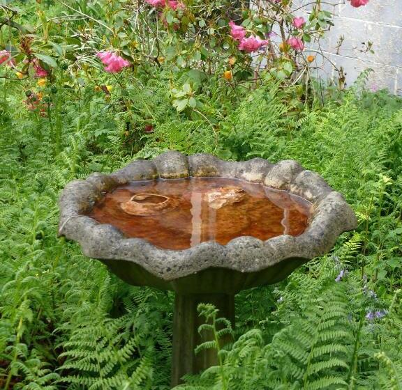 标准间, Ocean Wilderness Inn