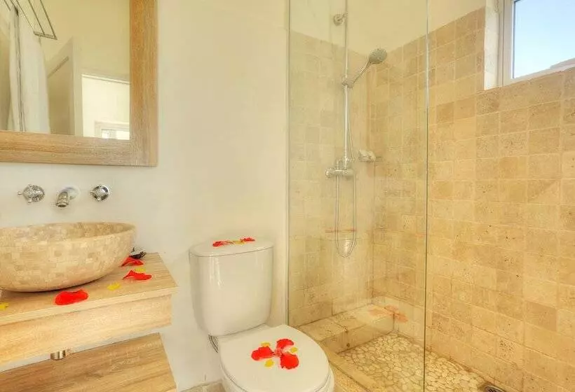 اتاق استاندارد, Cocotiers Hotel – Rodrigues