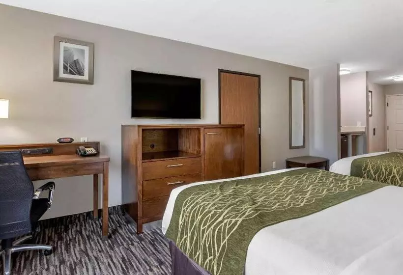 スタンダードルーム, Comfort Inn & Suites North Little Rock Jfk Blvd