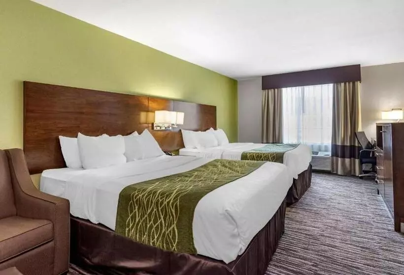スタンダードルーム, Comfort Inn & Suites North Little Rock Jfk Blvd
