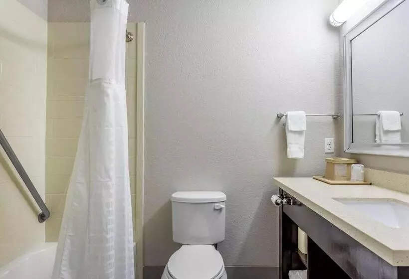キングサイズベッドのスイートルーム, Comfort Inn & Suites North Little Rock Jfk Blvd