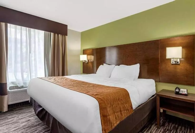 キングサイズベッドのスイートルーム, Comfort Inn & Suites North Little Rock Jfk Blvd