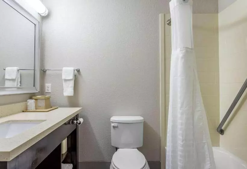 キングサイズベッドのスイートルーム, Comfort Inn & Suites North Little Rock Jfk Blvd