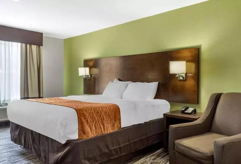 身障者適用キングサイズベッドルーム, Comfort Inn & Suites North Little Rock Jfk Blvd