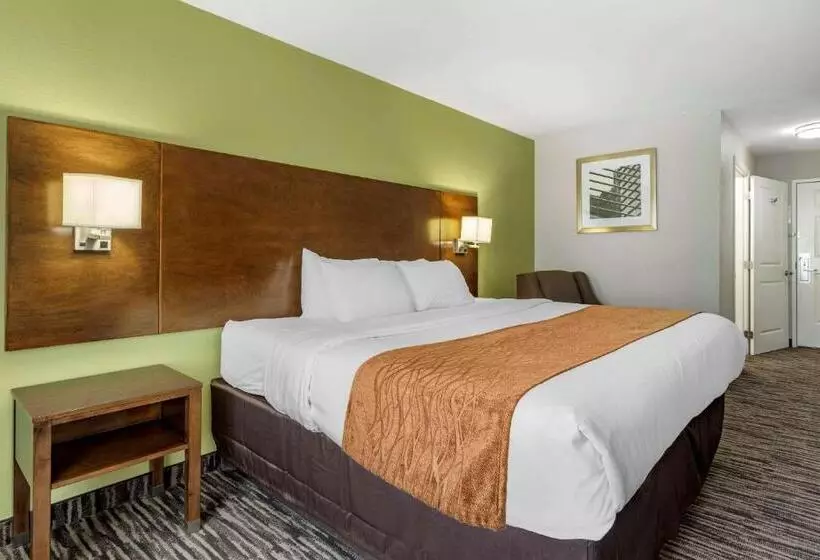 身障者適用キングサイズベッドルーム, Comfort Inn & Suites North Little Rock Jfk Blvd