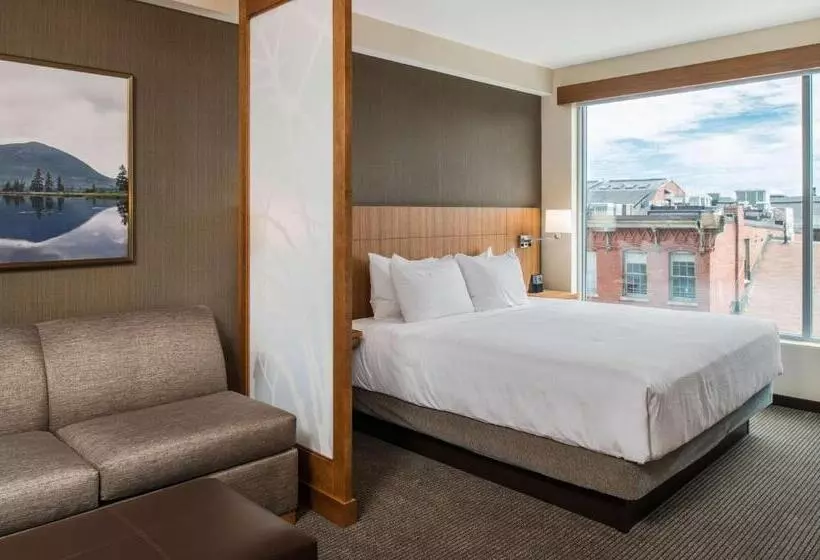 سوئیت با تخت بزرگ, Hyatt Place Portland Old Port