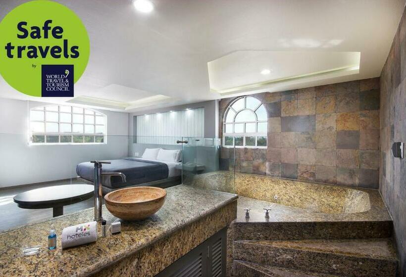 Полулюкс, Mx Congreso