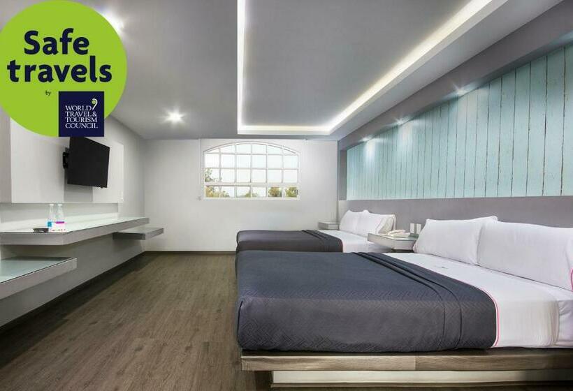 Номер Комфорт, Mx Congreso