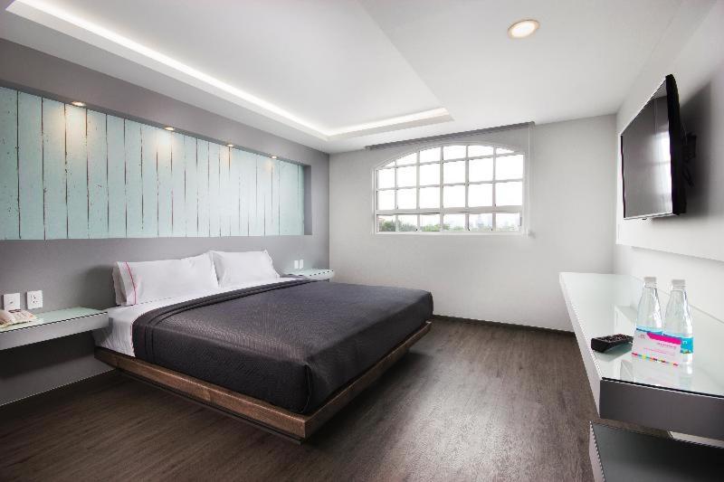 Номер Стандарт, Mx Congreso