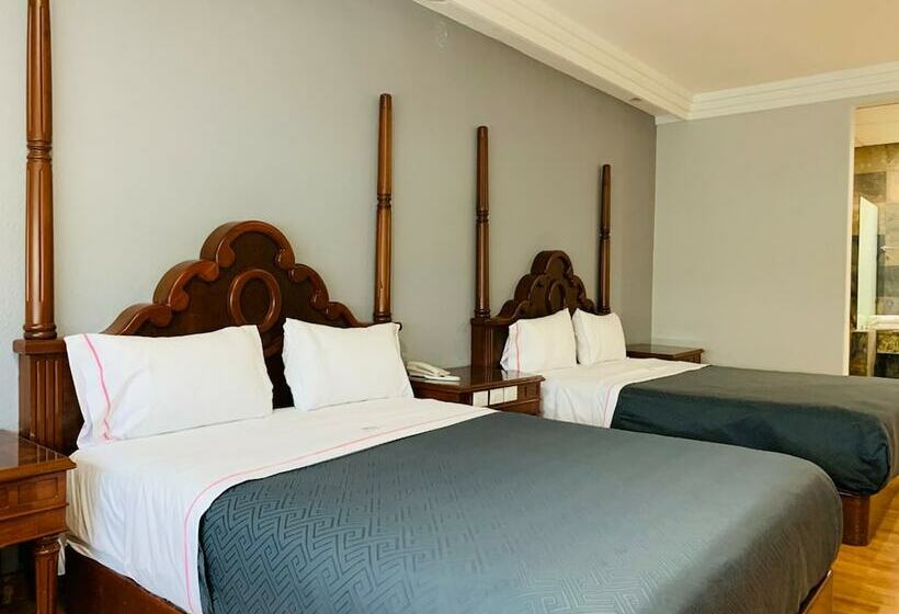 Номер Стандарт, Mx Congreso