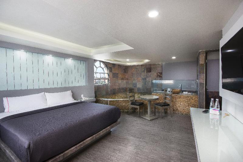 Номер Стандарт, Mx Congreso