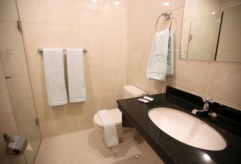 اتاق استاندارد یک نفره, Soneca Plaza