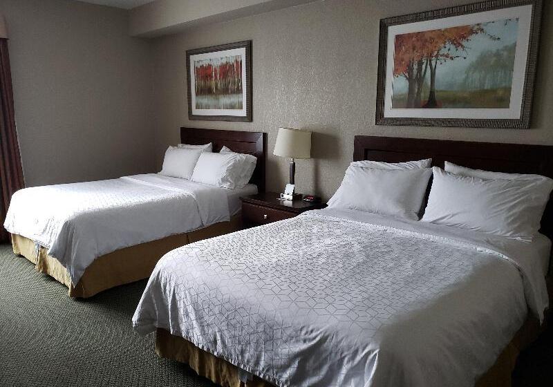 اتاق استاندارد یک نفره, Soneca Plaza