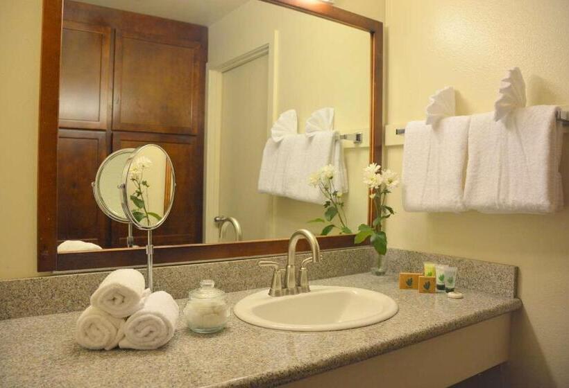 Номер Deluxe Кровать Кинг, Surestay Plus Hotel By Best Western Gold Beach