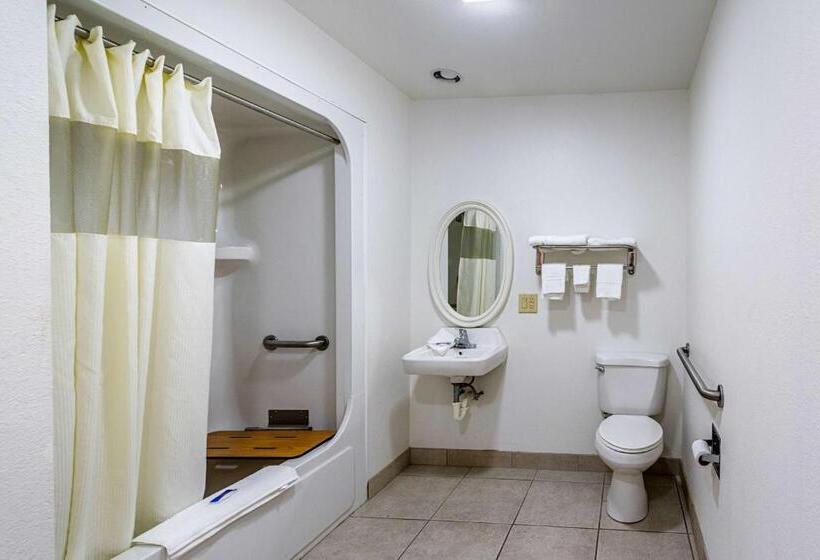 חדר סטנדרט לארבעה, Motel 6urbana, Il