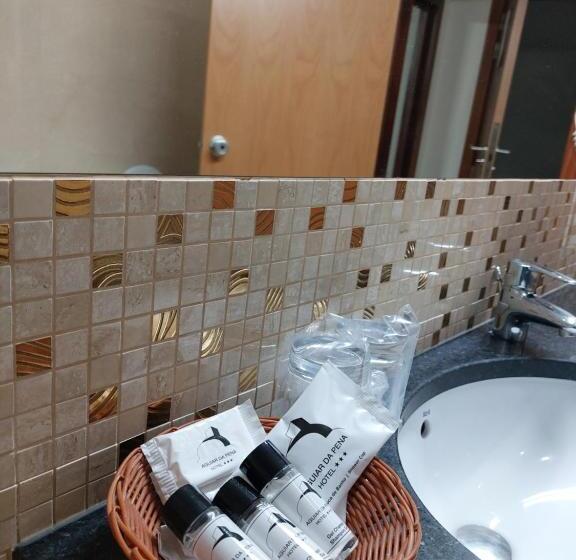 חדר משפחתי, Aguiar Da Pena