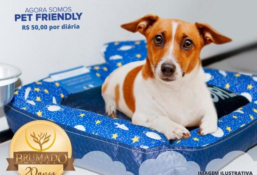 四人豪华间, Brumado