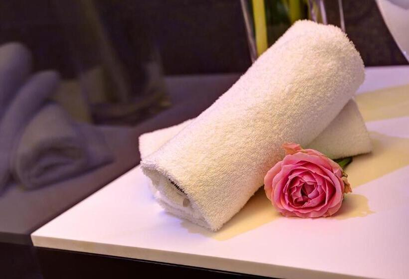 Camera Comfort, Dharma Luxury