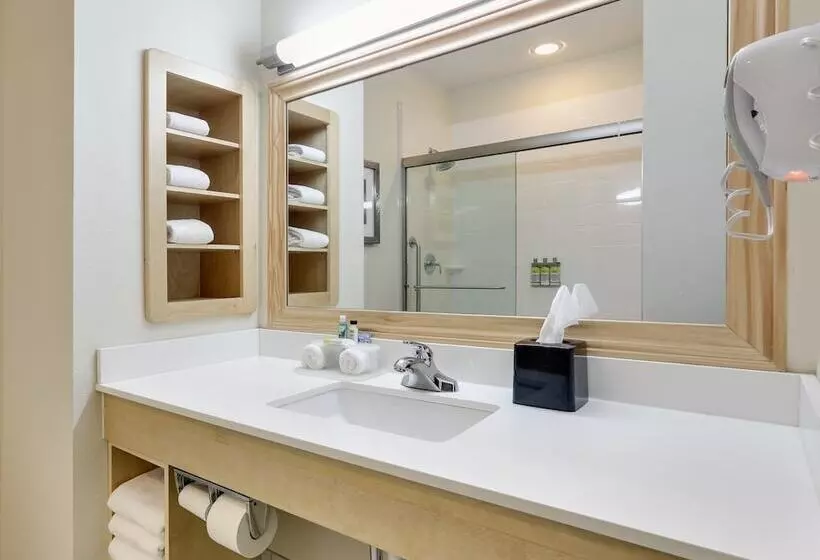 ２ダブルベッドのスタンダードルーム, Holiday Inn Express & Suites San Antonio Brooks City Base, An Ihg