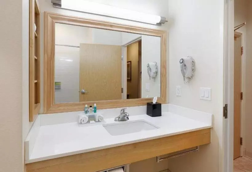 スタンダードルーム, Holiday Inn Express & Suites San Antonio Brooks City Base, An Ihg