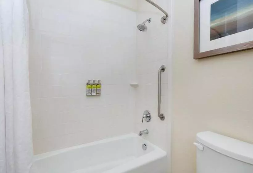 スタンダードルーム, Holiday Inn Express & Suites San Antonio Brooks City Base, An Ihg