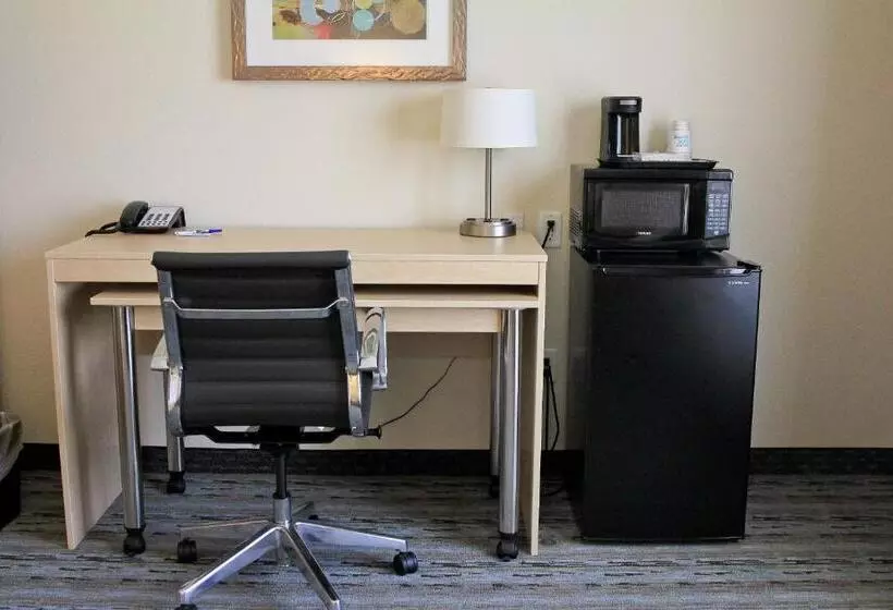 スイート, Holiday Inn Express & Suites San Antonio Brooks City Base, An Ihg