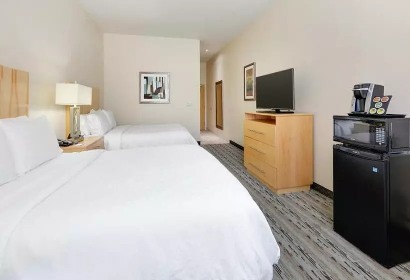 スイート, Holiday Inn Express & Suites San Antonio Brooks City Base, An Ihg
