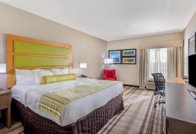 身障者適用キングサイズベッドルーム, La Quinta By Wyndham Paducah